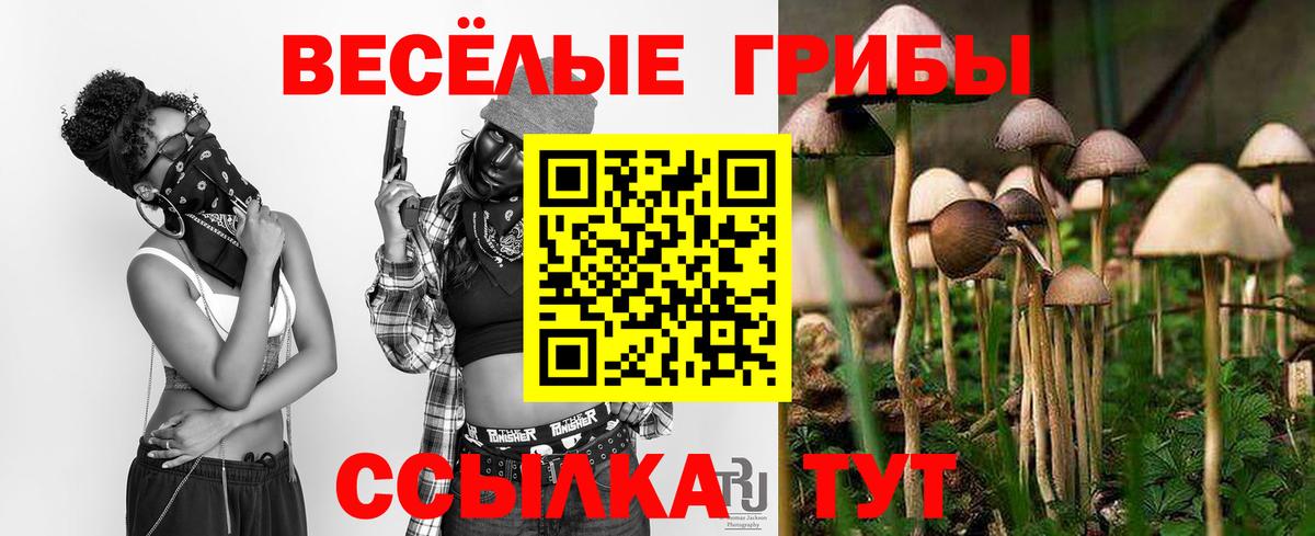 Галлюциногенные грибы ЛСД Нефтекамск