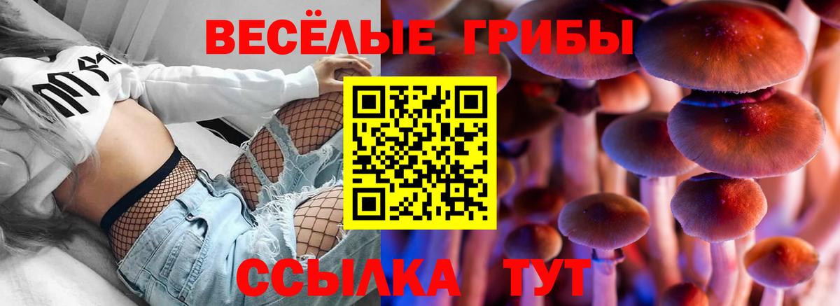 Галлюциногенные грибы GOLDEN TEACHER  Вход с VPN  Нефтекамск 